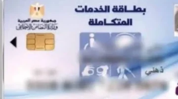 🔍 استعلام سهل.. خطوات معرفة كارت الخدمات المتكاملة بالرقم القومي 2025 وأبرز التحديثات المرتقبة